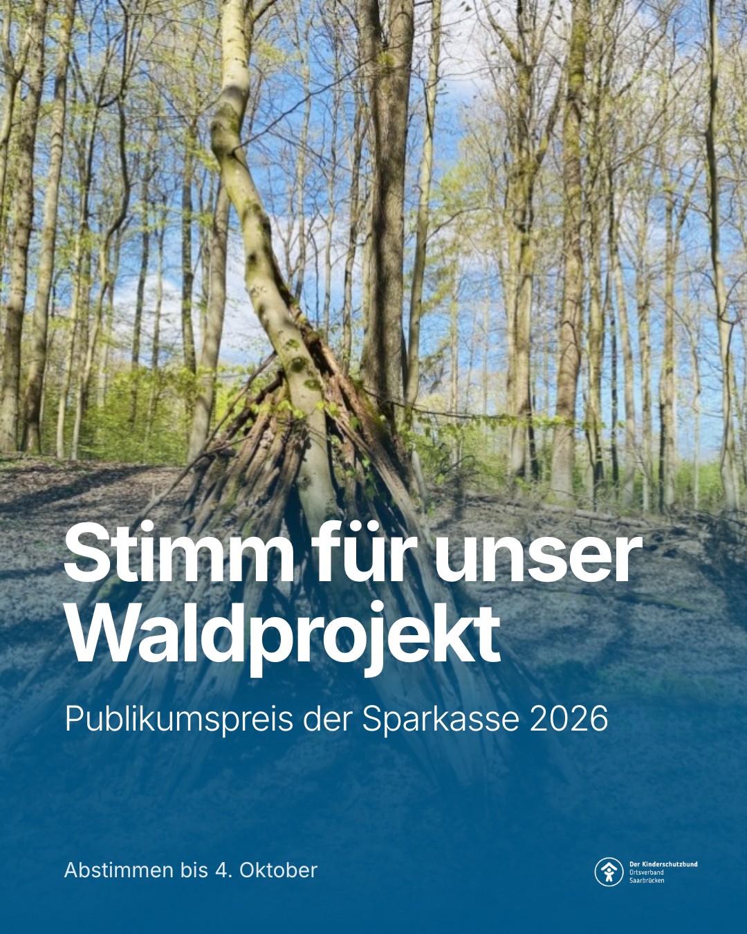 Stimm für unser Waldprojekt ab!